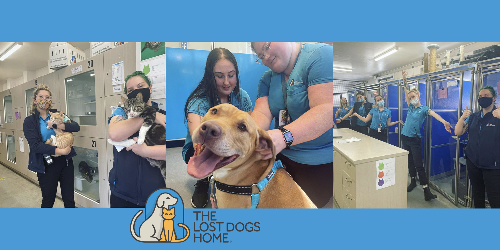 The Lost Dogs Home Proviro Group