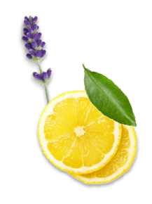 lavender and lemon slices